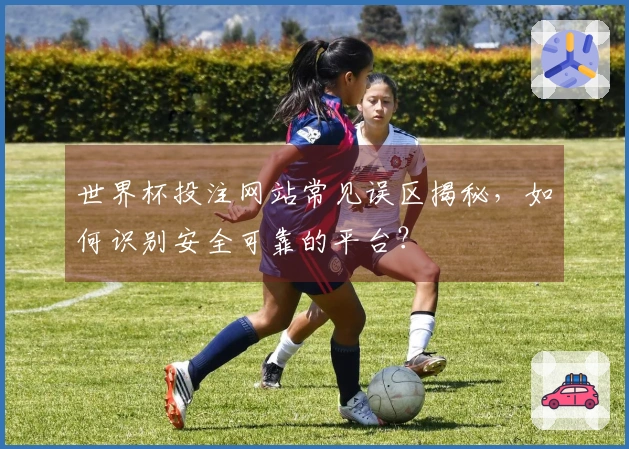 世界杯投注网站常见误区揭秘，如何识别安全可靠的平台？