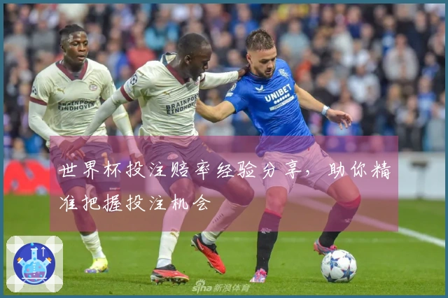 世界杯投注赔率经验分享，助你精准把握投注机会