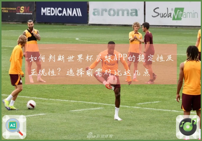 如何判断世界杯买球APP的稳定性及正规性？选择前需对比这几点